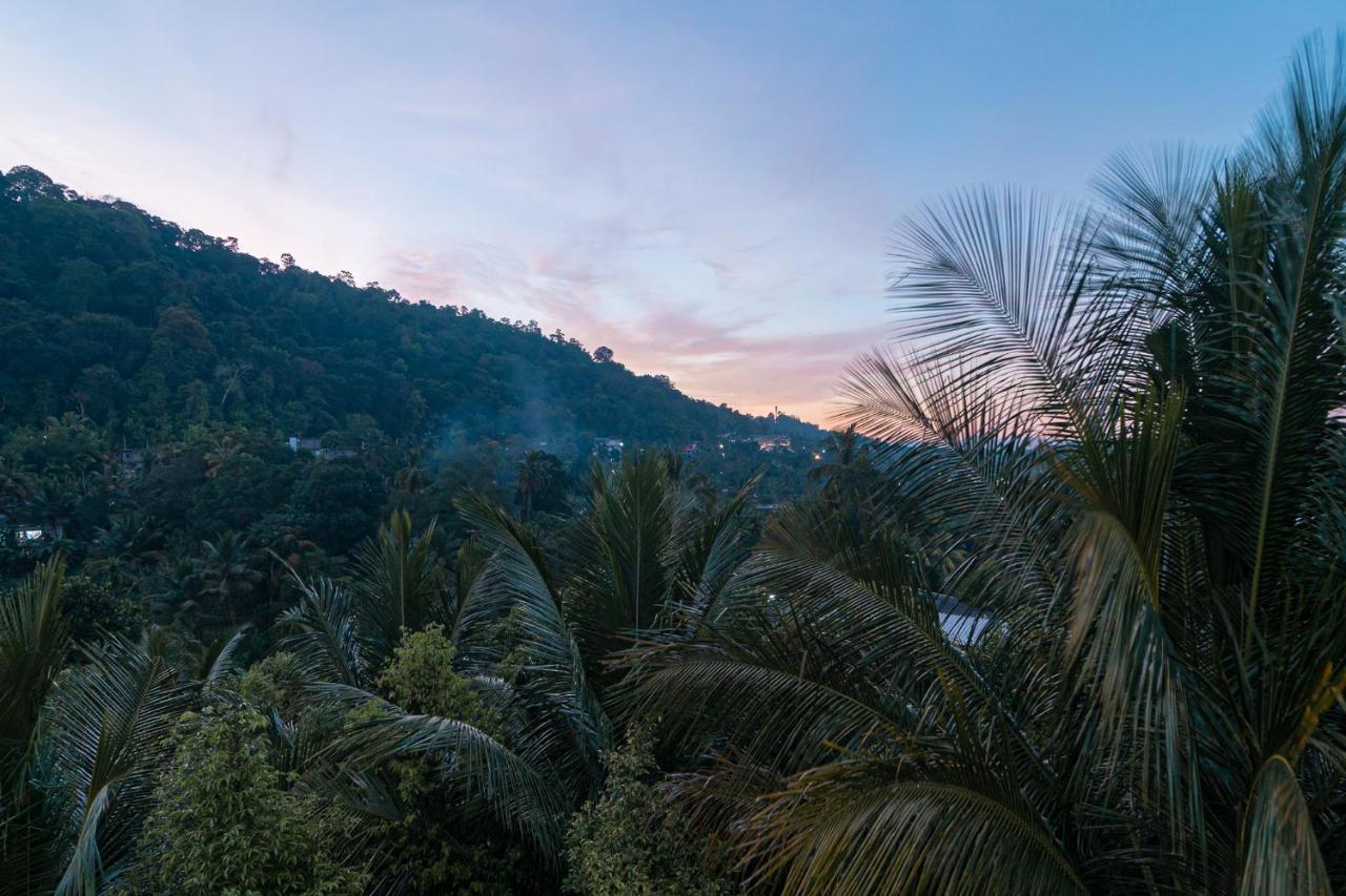 Sun Set Forest Villa Kandy Esterno foto